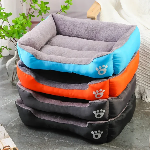 tapis hiver chien