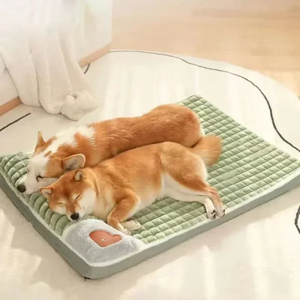 coussin pour chien orthopédique