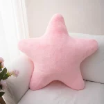 coussin étoile moderne
